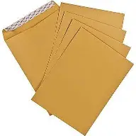 Brown envelope (A4)